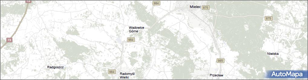 Grzybów